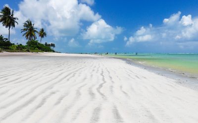 Onde fica a Praia do Patacho? Saiba como chegar a esse refúgio escondido em Alagoas