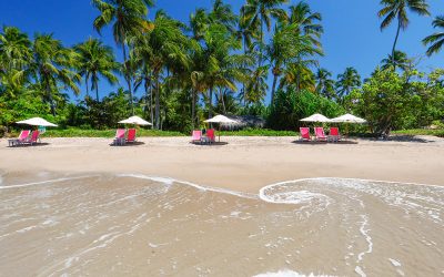 Praias em São Miguel dos Milagres que você precisa visitar