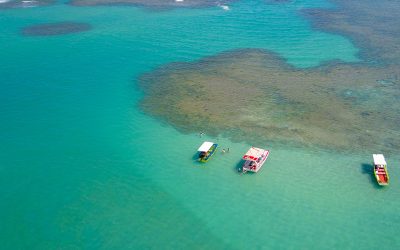 Rota Ecológica dos Milagres: 5 motivos para visitar a região