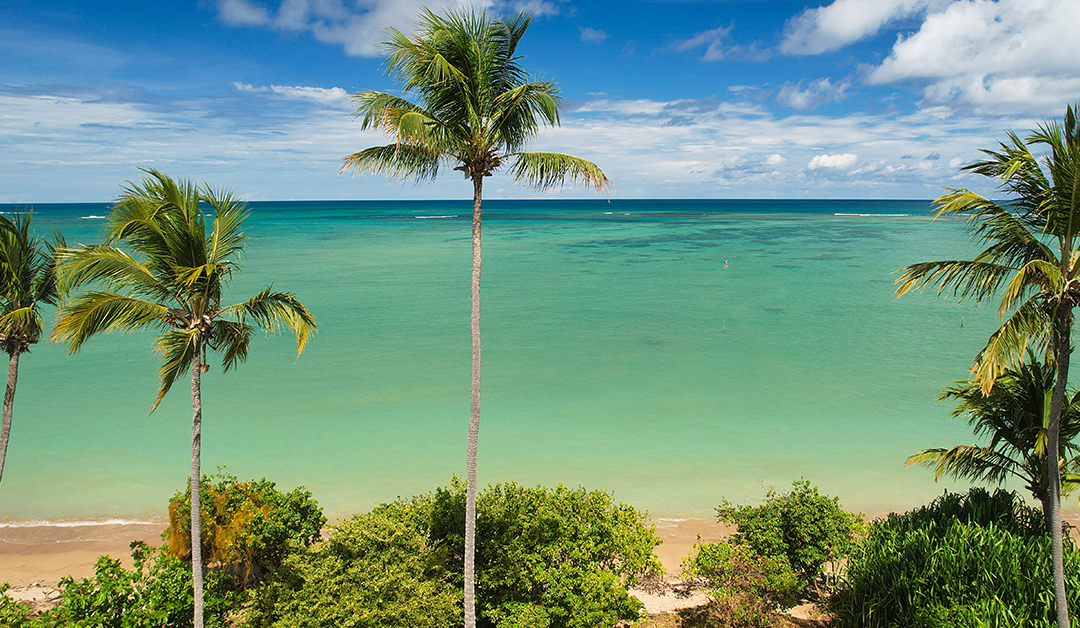 Viagem para Alagoas: como planejar sua experiência sem erro