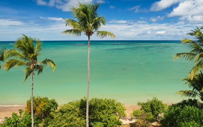 Viagem para Alagoas: como planejar sua experiência sem erro