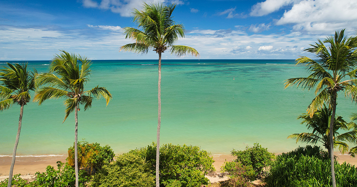 viagem para alagoas viagem-para-alagoas